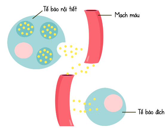 Truyền tin ở khoảng cách xa